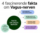 Pulsetto - Vagusnervestimulator thumbnail