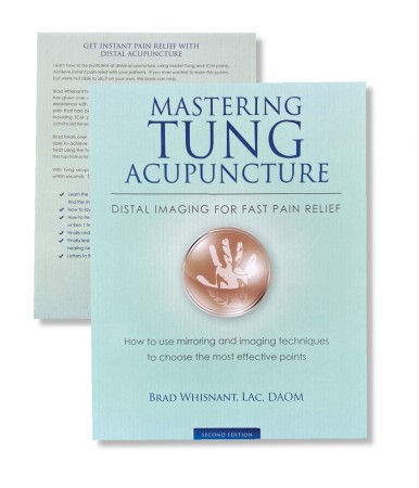 Mastering Tung Acupuncture – Distal Imaging for Fast Pain Relief